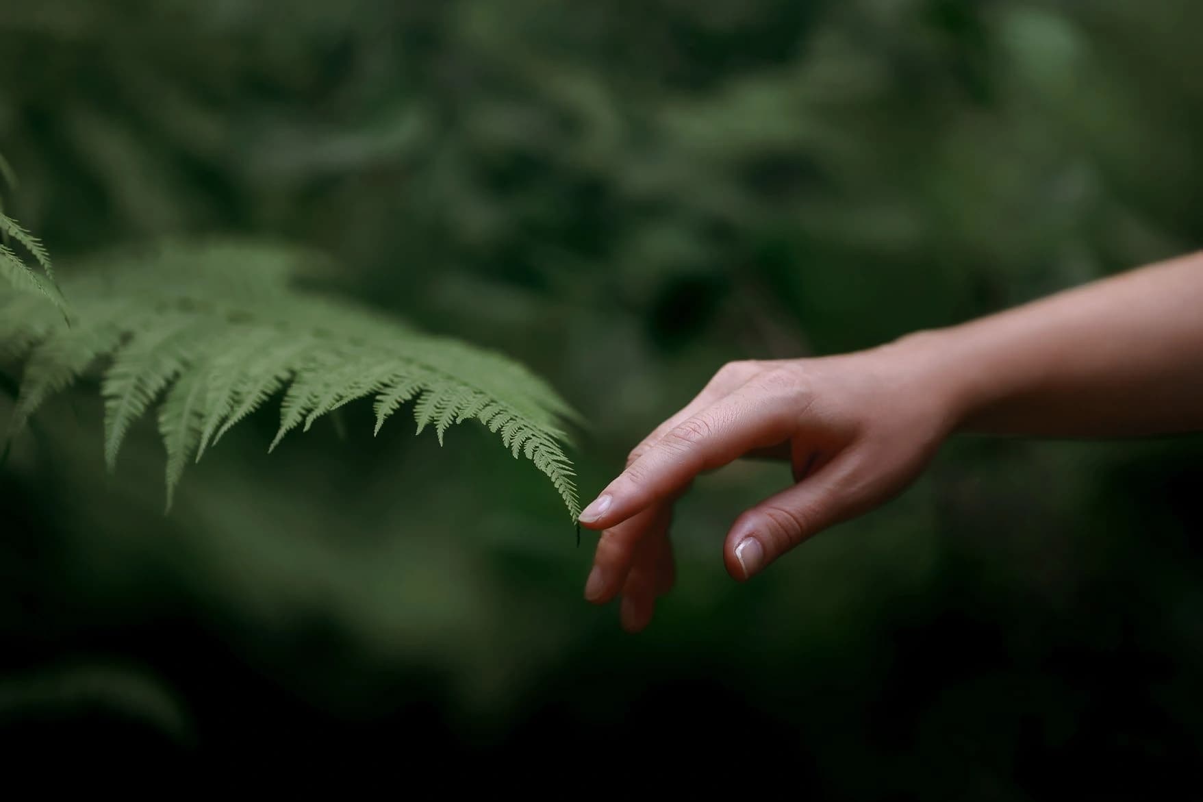 The Nature